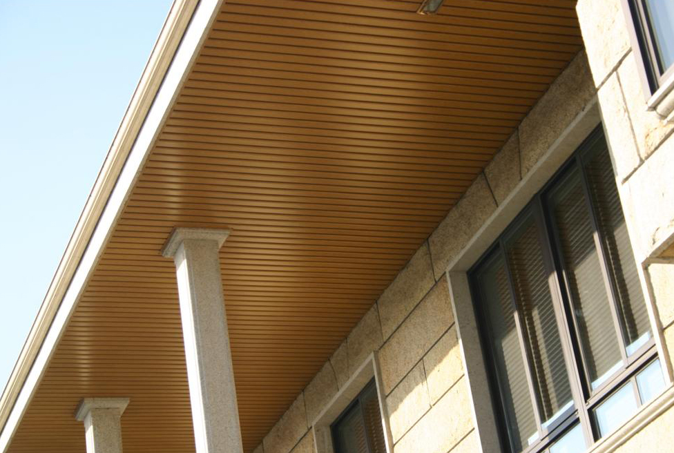 Faux-plafond extérieur